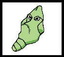 <img:stuff/Metapod.jpg>