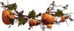 <img150*0:stuff/PumpkinVine-brownDiv_5pum250.png>